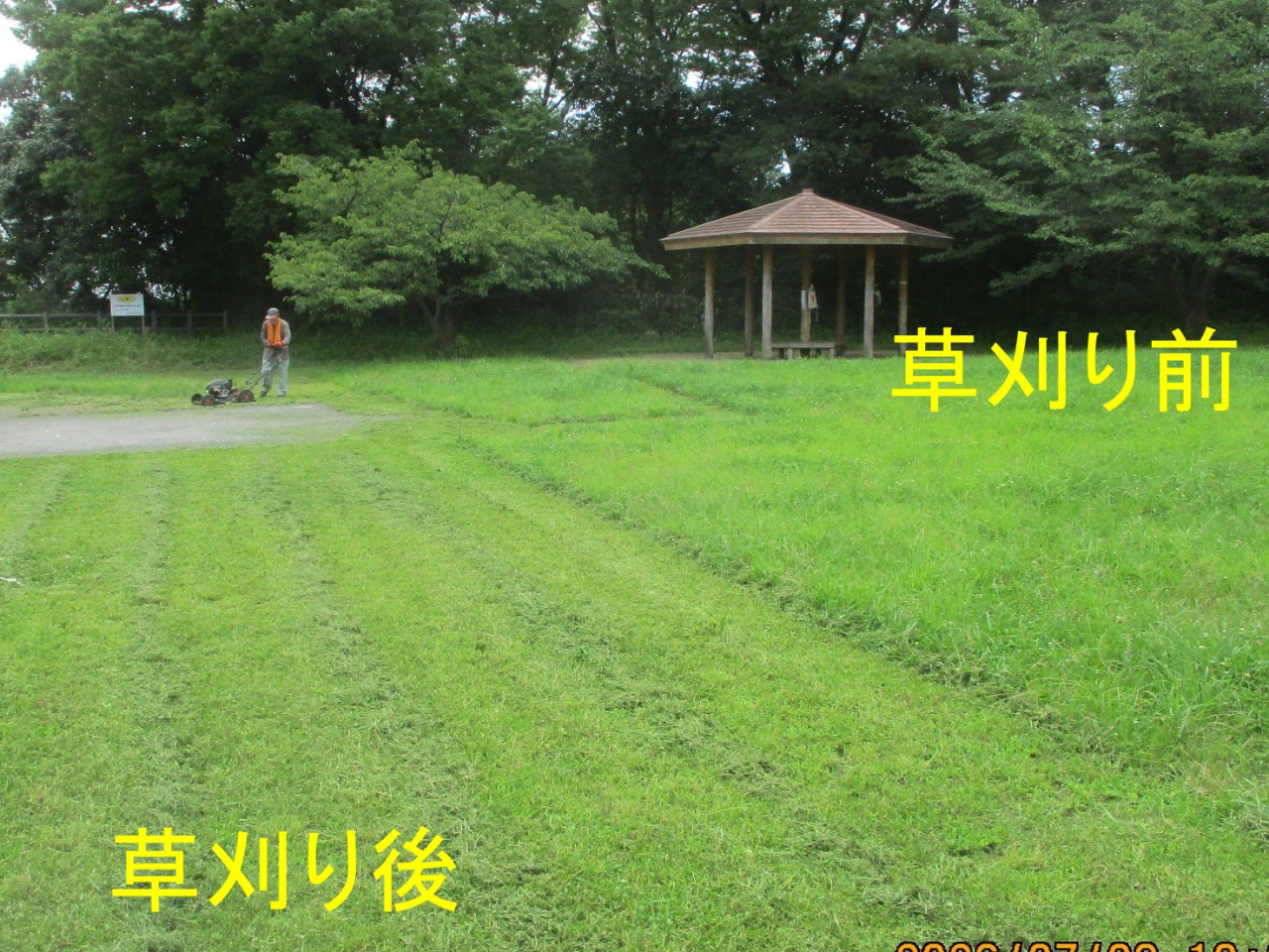 草刈り前後